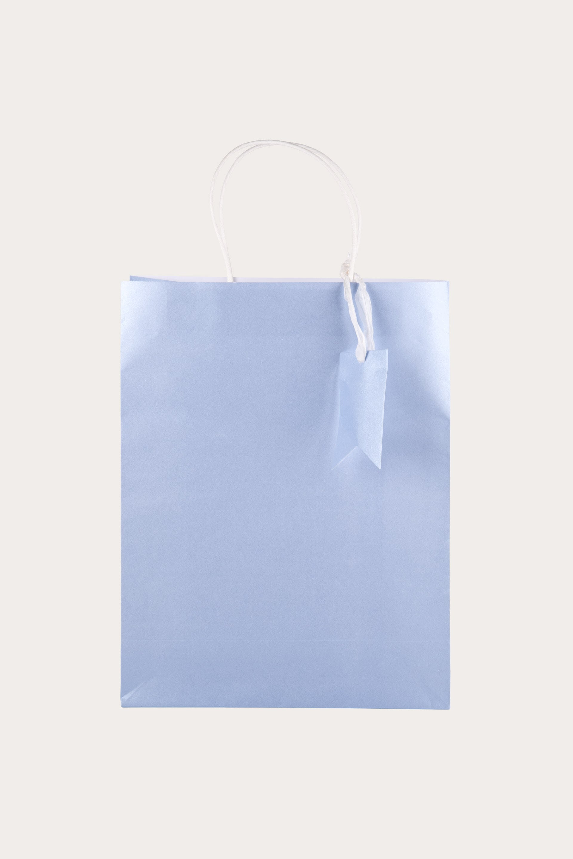 Blue Favor Bags With Pearl Handles 